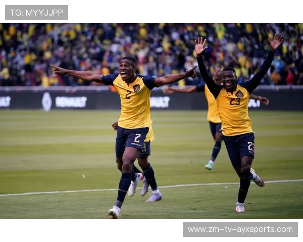 “美洲狮队顶级表现,重新定义阿根廷橄榄球”