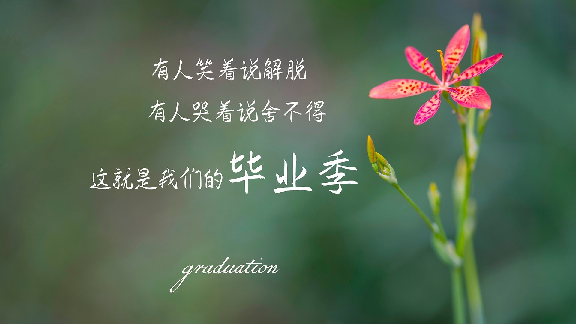 爱游戏app安装-世界围棋赛老将新锐交锋看点十足，2020世界围棋第一人