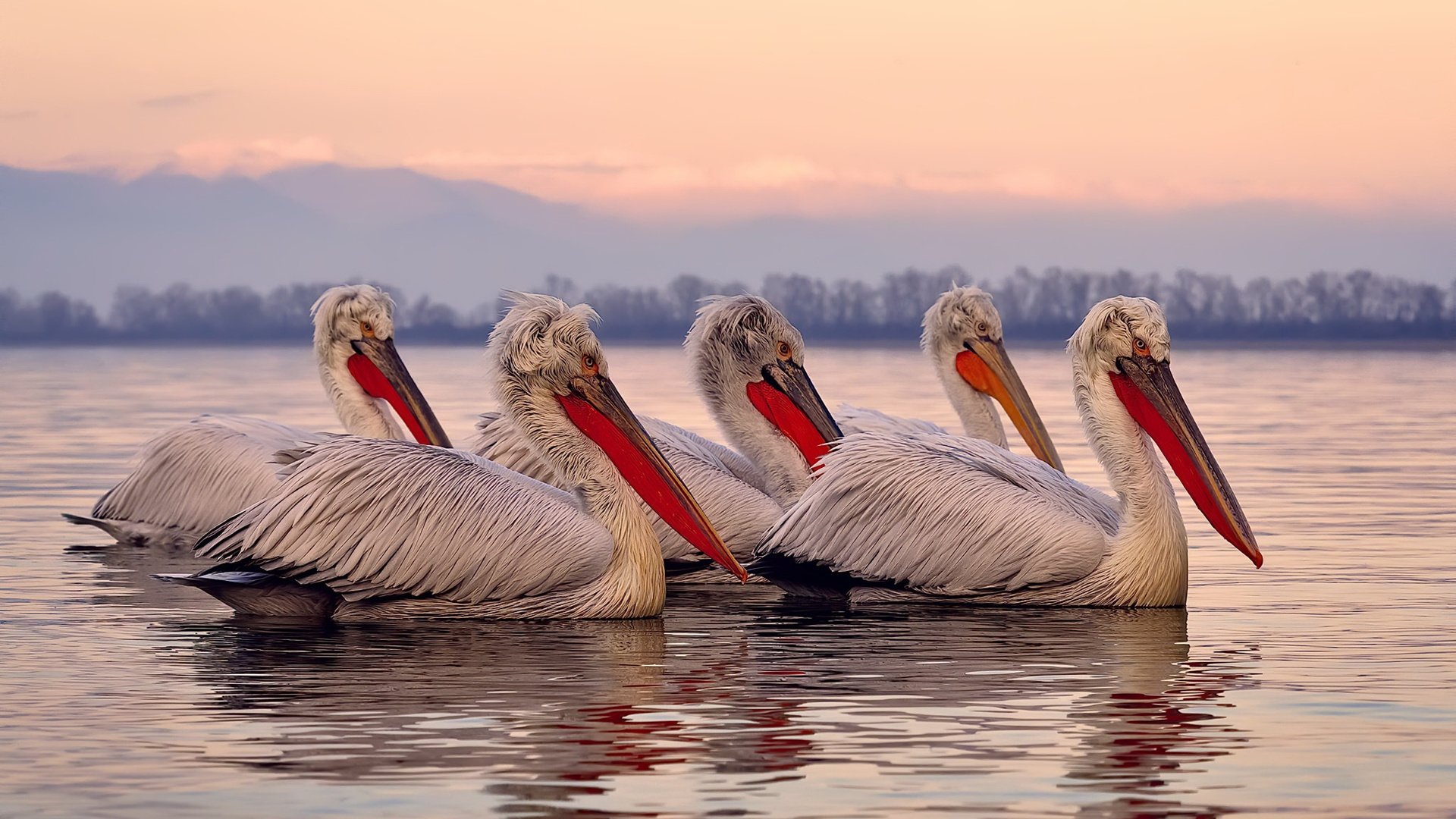 皇马阵地推进持续打穿对手防线,皇马阵型2021