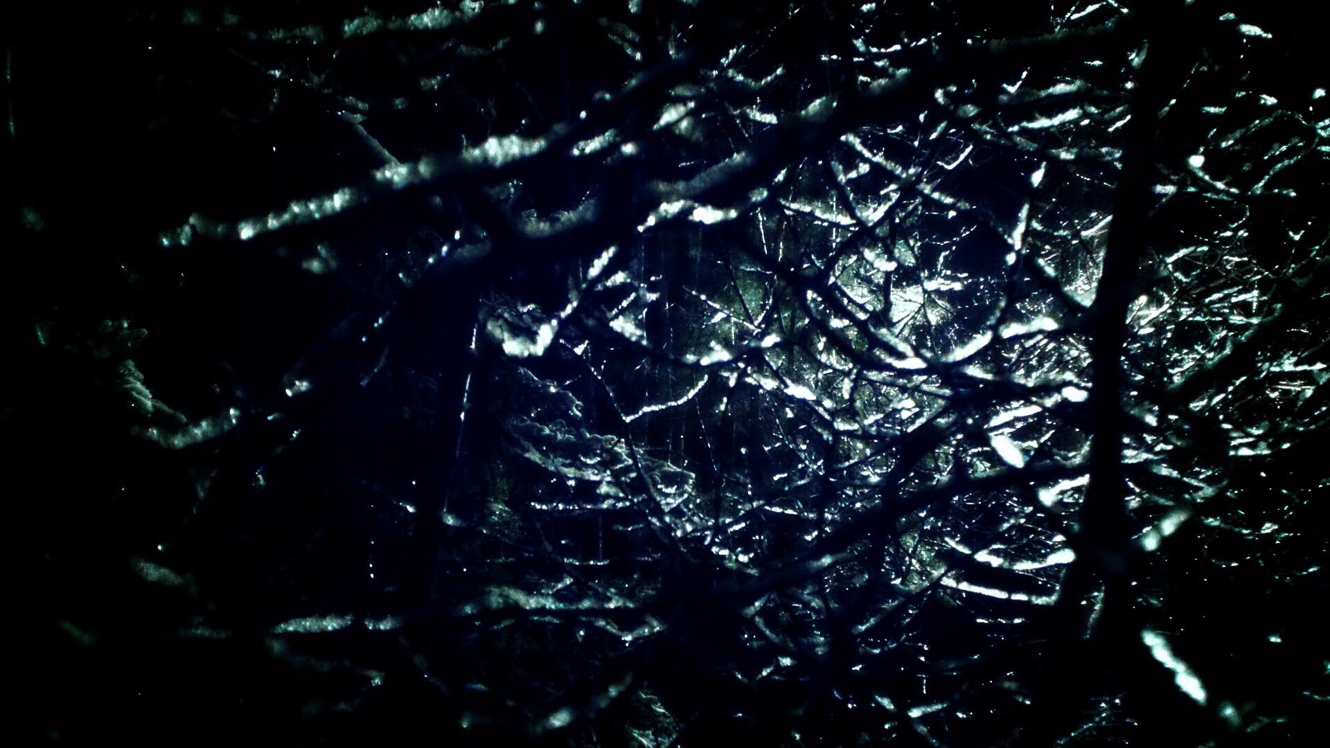 “阿根廷美洲狮队为未来设定新目标,走向全球”