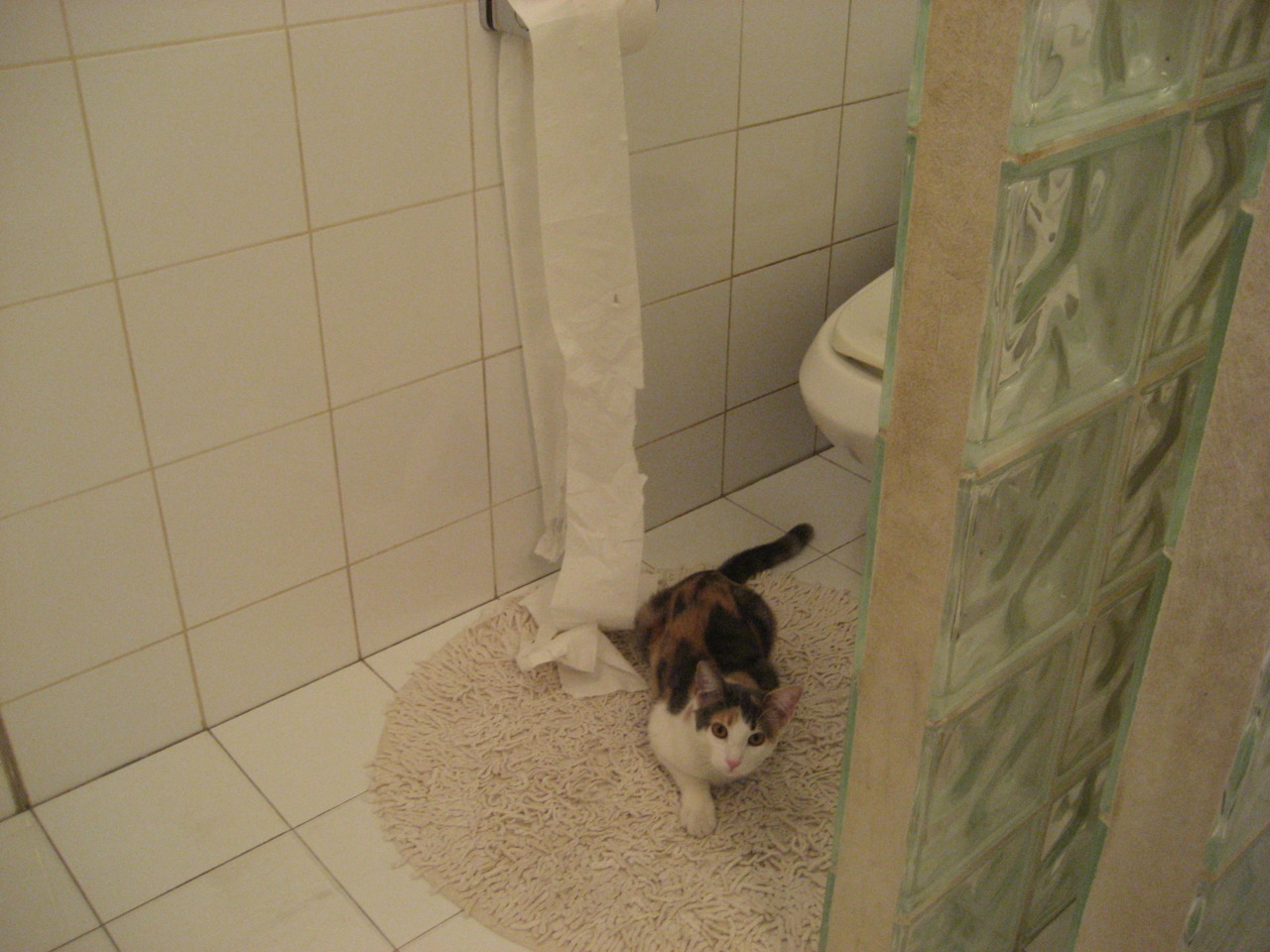 “马科斯·莫奇的防守技巧与战术适应力，助力阿根廷美洲狮队全面崛起”