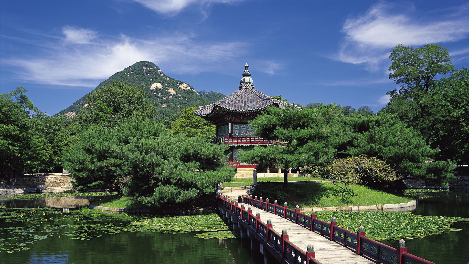 东南亚篮球大赛中,菲律宾队、泰国队激烈竞争,展现区域实力,菲律宾男篮实力