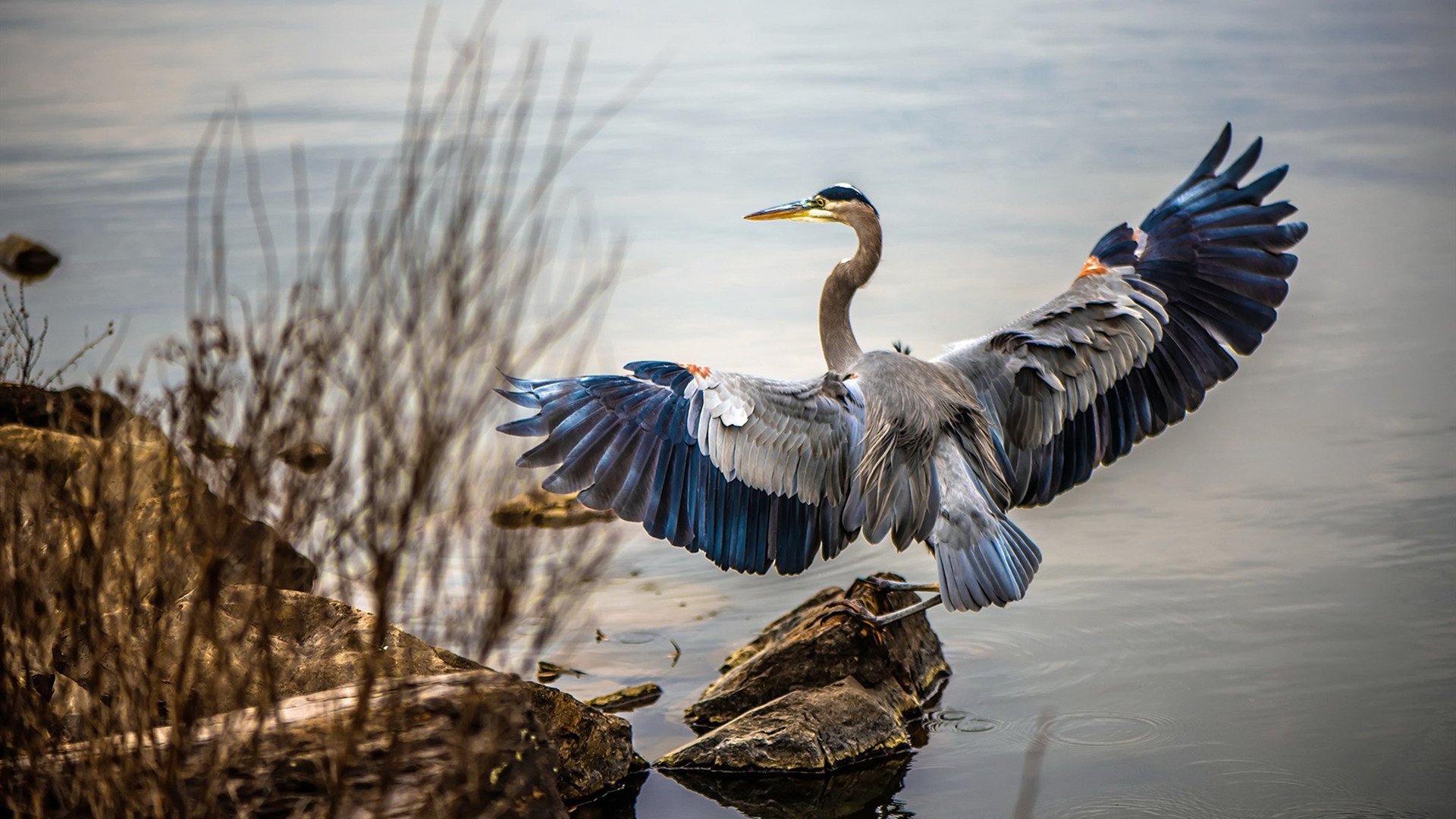 爱游戏ayx-数字化选拔体系实现青少年足球人才快速发现与培养，数字化足球场