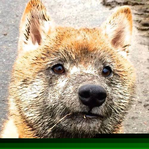 爱游戏体育在线-李恩：全黑队的“攻防一体”，无论是防守还是进攻，他都表现出色